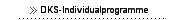 DKS-Individualprogramme